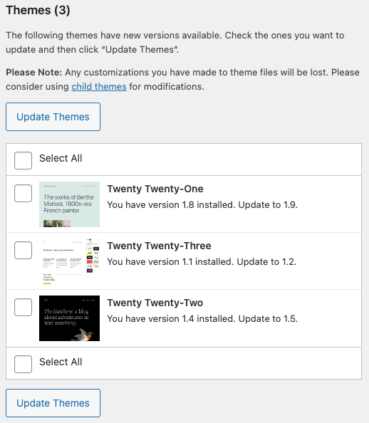 The theme section of the WordPress updates page shows there are themes with updates available.